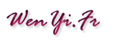 wenyi Logo