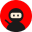 IconNinja Logo