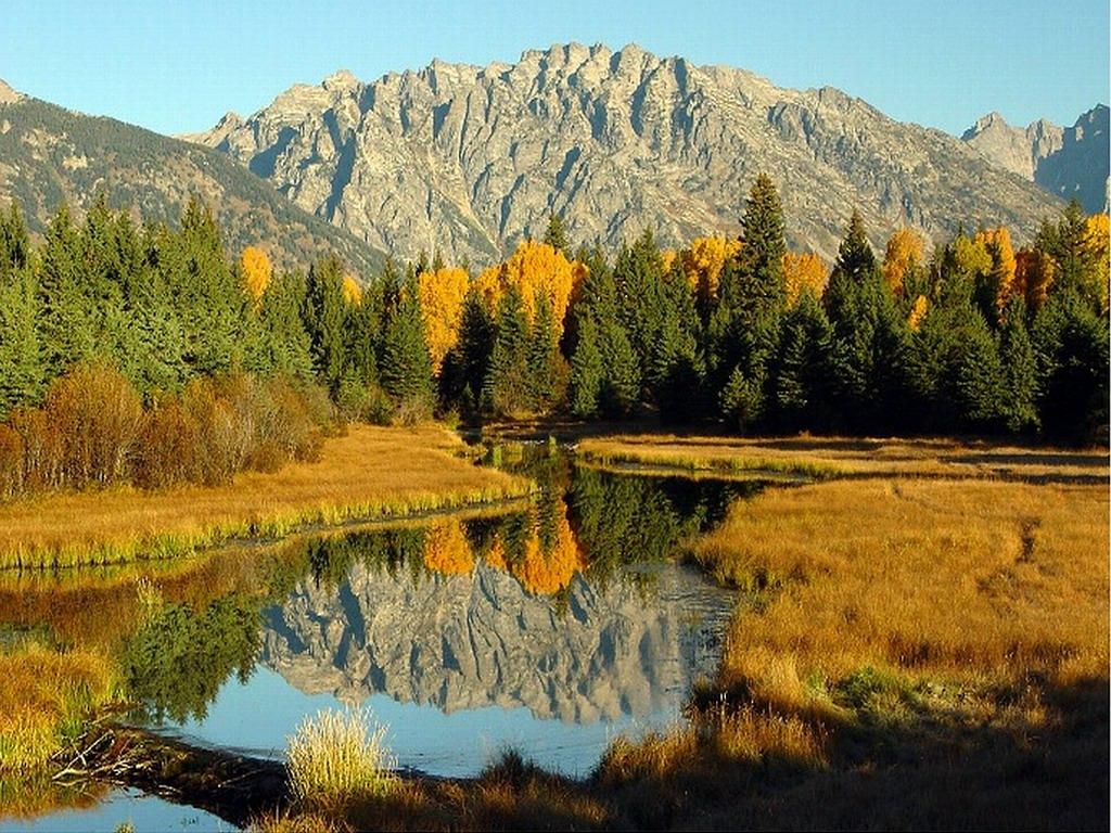 我认为大多数人认为他是中国的英雄。我也觉得他是，我为他骄傲。