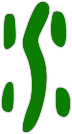 WeFlow Logo