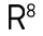 Robin8 Logo