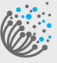 中文互联网数据 Logo