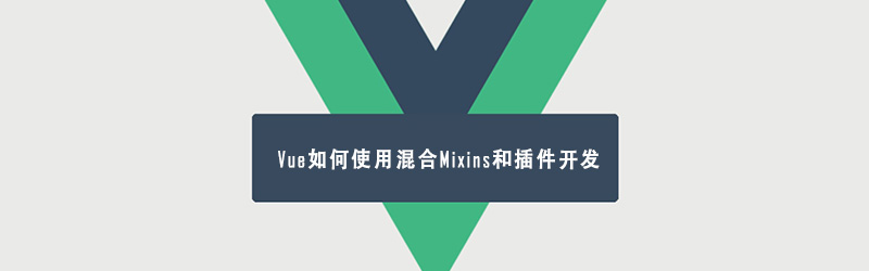 Vue如何混合Mixins和插件开发封面