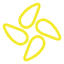 MyDock Logo