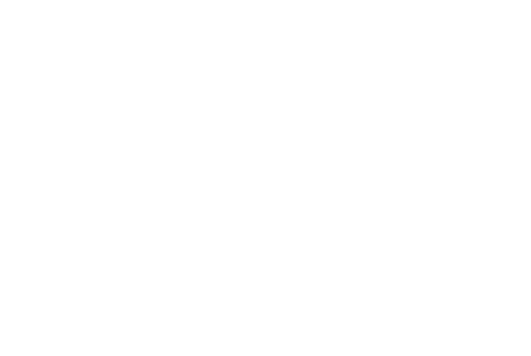 UI100day Logo