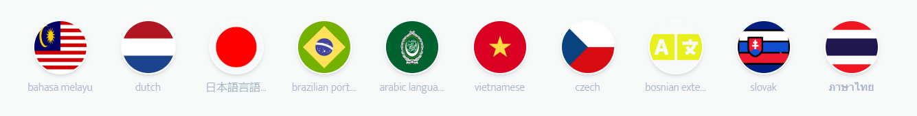 支持多国家语言